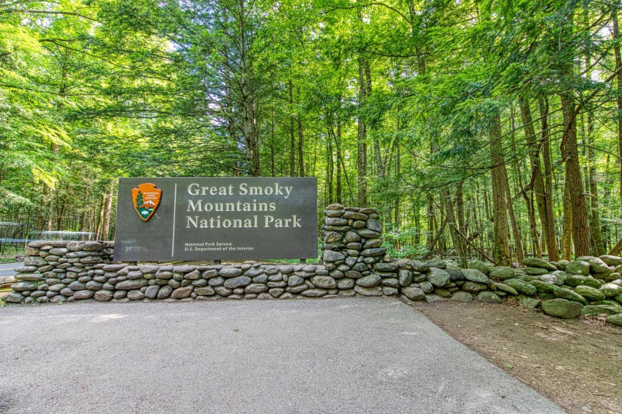 Black Bear'S Bluff Sevierville Kültér fotó